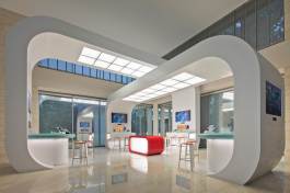 Global Technology Company Lobby Showcase by REMIGER DESIGN