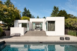Modern Oasis