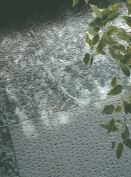 UltraLites glass tileUltraGlaswww.ultraglas.co

Translucent glass tiles are completely lead-free - Colors are fired into the glass for total saturation - Slump-glass molding creates a distinctive three-dimensional character - Customize colors and degree of opacity, even within a single tile