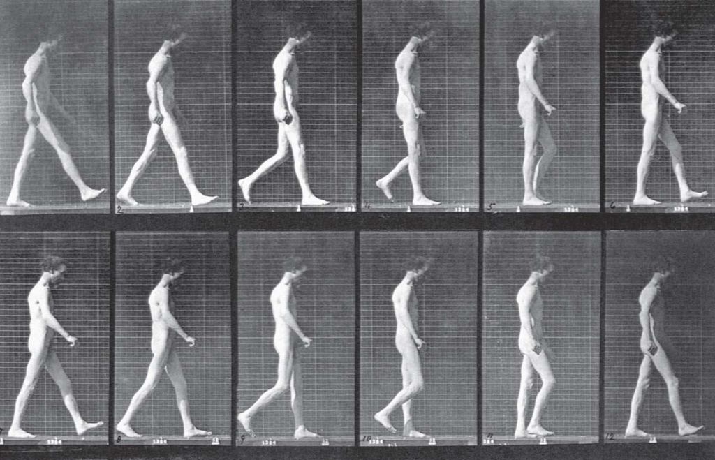 The new Gait Lab takes the 19th century stop-motion photographic analysis of Edward Muybridge into the 21st century.
