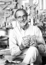Renzo Piano