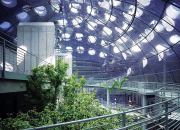 California Academy of Sciences