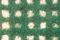 Drivable Grass

Soil Retention

soilretention.com

Porous, latticelike mat lets vegetation grow without compromising a solid, drivable surface - Mat flexes to accommodate uneven ground without breaking apart - Reportedly increases on-site water storage and decreases water runof 2-foot-square, 1.5-inch-deep pieces that weigh 45 pounds each
