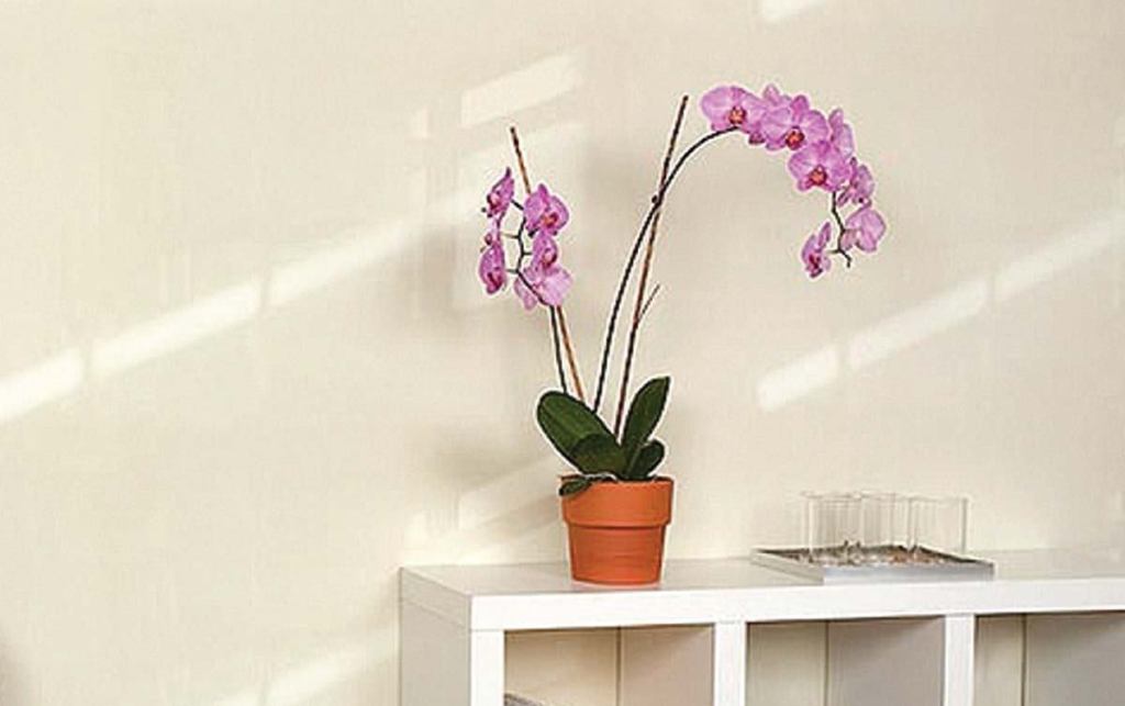 Light vinyl wallcoveringWolf-Gordonwww.wolfgordon.com

Vinyl wallcovering available in three colors - Designed by Harvard GSD students Corinne Ulmann and Isamu Kandu - Pattern suggests light falling on a wall from a window or outside source