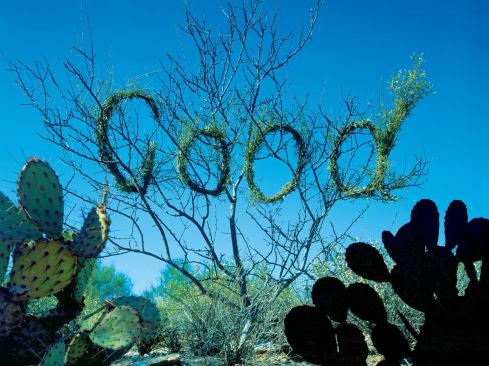 The Cooper-Hewitt’s National Design Awards has reached its milestone 10th year, and to celebrate, the museum is staging “Design USA: Contemporary Innovation,” a retrospective featuring the work of more than 75 past winners, among them the firm 2x4, which designed the exhibition. The objects on display—drawings, models, products, and gadgets of all kinds—mark accomplishments across design disciplines and are organized according to five themes: technology, material, craft, experience, and method. The craft section includes the above photograph from Stefan Sagmeister’s series “Trying to Look Good Limits My Life.” Visitors can check out an iPod at the ticket desk and use it to access digital information embedded at different points in the exhibition hall. Through April 4.

cooperhewitt.org