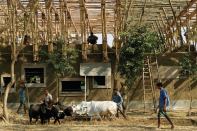 Anna Heringer and Eike Roswag, METI—Handmade School, Rudrapur, Bangladesh (2006)