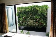 VHedge by Earthia features a modular interlocking frame assembly constructed from noncorrosive materials that are 100% recyclable. The vertical green-wall system provides 36 plants per square meter in 1- and 1/2-square-meter modular combinations. Precision irrigation through individual emitters allows each plant to receive the correct amount of water.