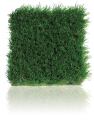DuPont ForeverLawn Select Synthetic Grass, a collaboration between DuPont Landscape Systems and ForeverLawn, is a line of natural-looking synthetic grass products that feature a low-sheen, multicolored blade structure and a realistic tan thatch. The turfs durable monofilament fiber can withstand heavy traffic. The synthetic grass has a premium backing system, requires minimal infill, and is low maintenance and long lasting. The line includes four products (Select VR, Select LX, Select HD, and Select EL), each with its own blade height, face weight, and green hues. Suitable applications range from a small backyard area up to a full-scale commercial project. foreverlawn.com