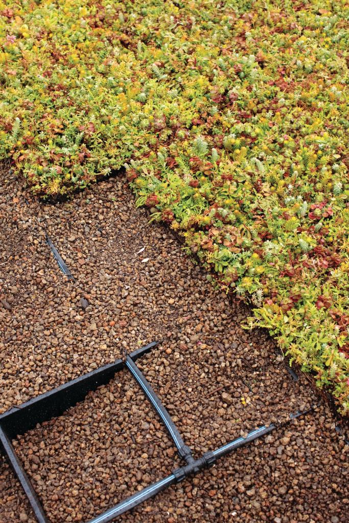 The SkyScape vegetative roof system from Firestone Building Products features double interlocking trays that are easy to install and maintain, and have integrated irrigation and erosion control that promote air flow to keep plants healthy. SkyScape offers two planting options (modular trays and a multilayered system). Plants arrive on the job site ready to be installed in preplanted trays, as vegetative plugs or tile mats, or as cuttings that can be hydroplanted. The system also provides an insulating layer that improves heating and cooling efficiency, protects roofing material from UV and heat stress degradation, improves stormwater management, and shields the roof from wind and hail damage. www.firestonebpco.com