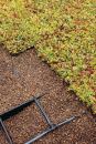 The SkyScape vegetative roof system from Firestone Building Products features double interlocking trays that are easy to install and maintain, and have integrated irrigation and erosion control that promote air flow to keep plants healthy. SkyScape offers two planting options (modular trays and a multilayered system). Plants arrive on the job site ready to be installed in preplanted trays, as vegetative plugs or tile mats, or as cuttings that can be hydroplanted. The system also provides an insulating layer that improves heating and cooling efficiency, protects roofing material from UV and heat stress degradation, improves stormwater management, and shields the roof from wind and hail damage. www.firestonebpco.com