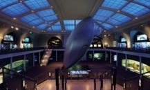 The Milstein Hall of Ocean Life at the American Museum of Natural History in New York City. Renovated and relit in 2002–03, the 6,000-square-foot skylight provides the perfect ocean-like backdrop for the Hall's main feature—the 94-foot-long model of a blue whale.