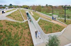 Green roof in park landscape