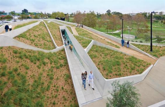 Green roof in park landscape