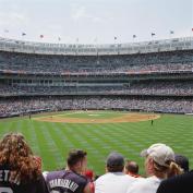 New York Yankees