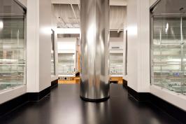 Column shown in Stainless Steel with Linen finish at Boston University, Organic Chemistry Lab, Boston, Massachusetts