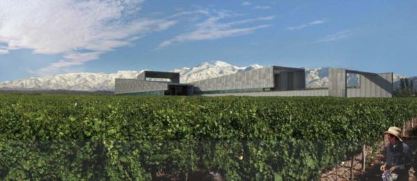The winery building is split into two connected, barlike volumes-one contains amenities such as tasting rooms to entertain visitors; the other, the production facilities. The concrete structure does not include wood because any mold brought in on the wood could affect the winemaking process.