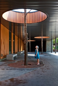 Girl at canopy opening