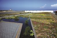 El Cuartel de Ballajá, Vegetated Green Roof  

While the green roof market in Puerto Rico has grown by 25% in recent years, El Cuartel de Ballajá is the first historic structure to feature one.