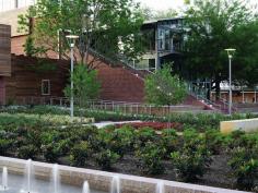 A second brick staircase gives second-floor access on the south side of the building. Together, the two staircases also serve to separate front-ofhouse functions?including the main dining room, restrooms, and bar ?from back-of-house operations like the kitchen and loading dock. In contrast to the transparent glazing of the dining rooms, the volume housing the kitchen is clad in dark wood siding with few windows.