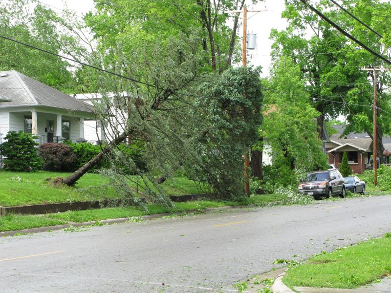 Damage from the "derecho" that swept the East Coast.