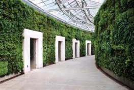 Part of Longwood Gardens' new East Conservatory Plaza, the green wall lines a covered walkway leading from the conservatory and housing eco-friendly public restrooms.
