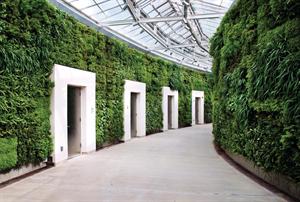 Part of Longwood Gardens' new East Conservatory Plaza, the green wall lines a covered walkway leading from the conservatory and housing eco-friendly public restrooms.