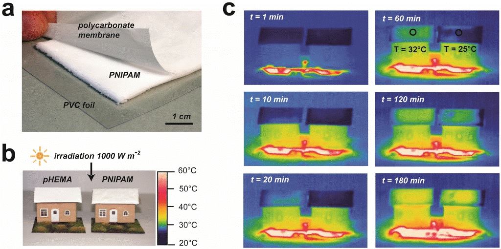 An experiment reveals that PNIPAM outperforms hydrogel (pHEMA) in regulating rooftop temperature.