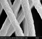 Micrograph picture of cellulose nanocrystals combined with PMMA fibers.