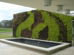 green wall at entry