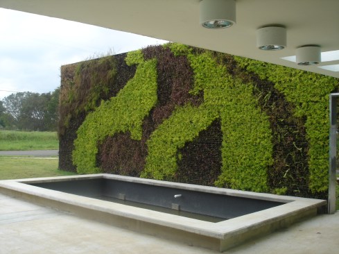 green wall at entry