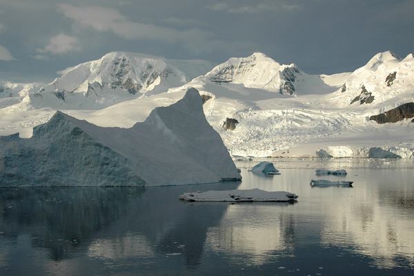 Neko Harbour in Antarctica