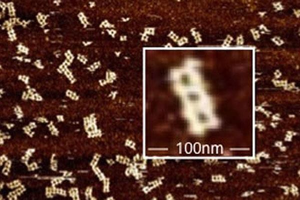 Cancer-fighting molecules designed with drag-and-drop software.