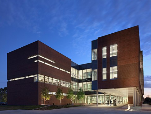 North entry plaza