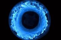 The Biobulb by AnaElise Beckman, Alexandra Cohn, and Michael Zaiken, students at the University of Wisconsin-Madison and participants of the Frontier Fellows program at the Wisconsin Institute for Discovery.