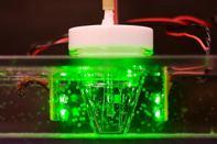 A demonstration of bacteria making electricity from light.