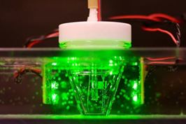A demonstration of bacteria making electricity from light.