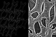Early prototype of an interlocking cellular pneumatic assembly system, which informs the research of Upjohn Research Grant recipients Kathy Velikov and Geoffrey Thün.