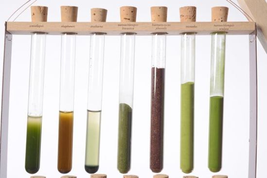 German studio Blond & Bieber uses powdered microalgae to print color-shifting designs on textiles.