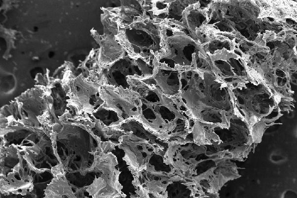 Researchers at Tufts University developed a silk-based scaffold that emulates brain tissue for use in laboratory experiments.