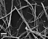 A closeup of the nanoribbon network in Rice University's novel graphene-based film.