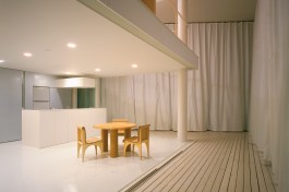 Curtain+Wall+House