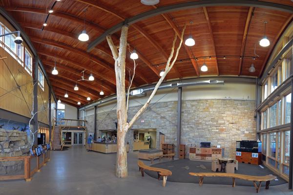 A 26-foot-tall, load-bearing black willow tree replaces a steel column in the atrium of the rennovated Myrick Hixon EcoPark in La Crosse, Wis.