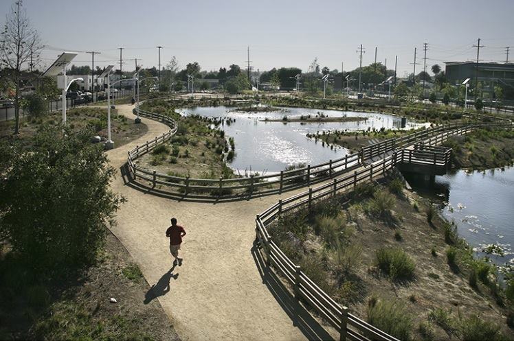The South Los Angeles Wetland Park received the Envision Platinum Award, the highest level attainable in the ISI rating system.