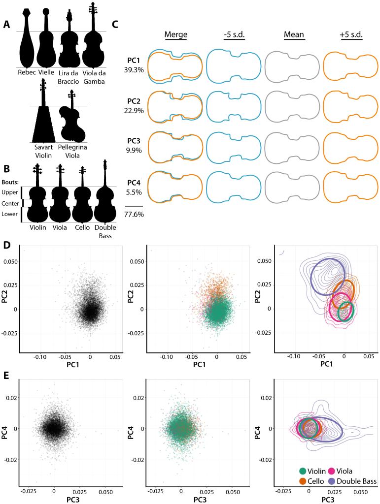 The morphometric study of violin geometries over four centuries.