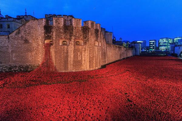 An installation of more than 800,000 ceramic poppies in the dry moat surrounding the Tower of London closes on Nov. 11.