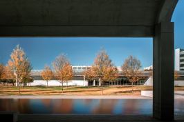 View of the entrance to the Renzo Piano Pavilion from the west, under the colonnade of the original Kahn building.