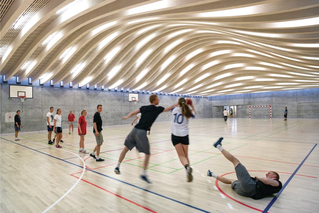 A staccato arrangement of linear fluorescents highlights the ceiling curvature of the gymnasium.