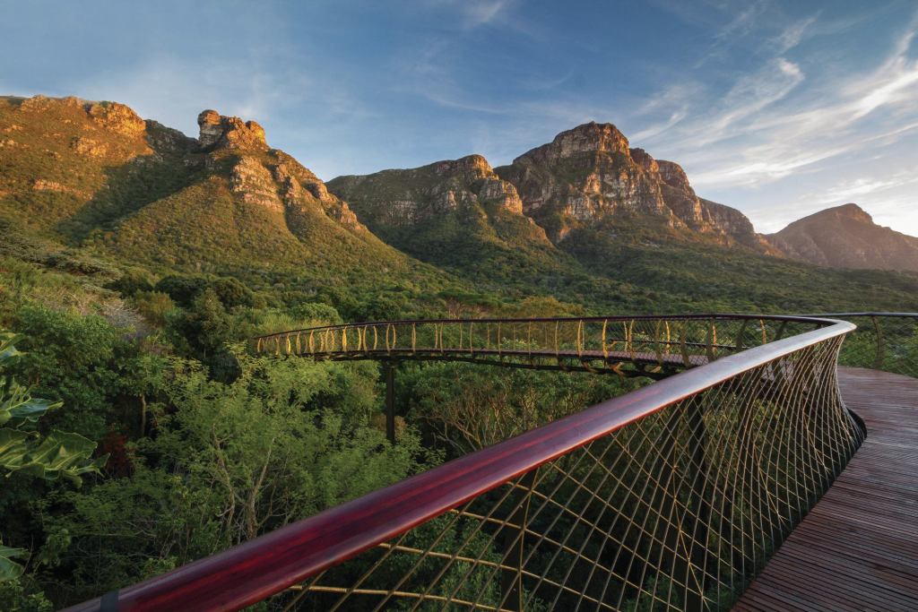The Centenary Tree Canopy Walkway takes visitors up, through, and above the Kirstenbosch arboretium against the backdrop of Table Mountain’s eastern face.