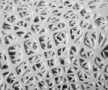 A close-up view of Smith|Allen's dropped ceiling graft, Liminal Mass.