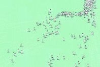Client/Owner Trends